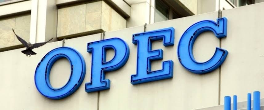 Oil Will Continue To Be Leading Energy Source For Decades - OPEC | Daily Report Nigeria