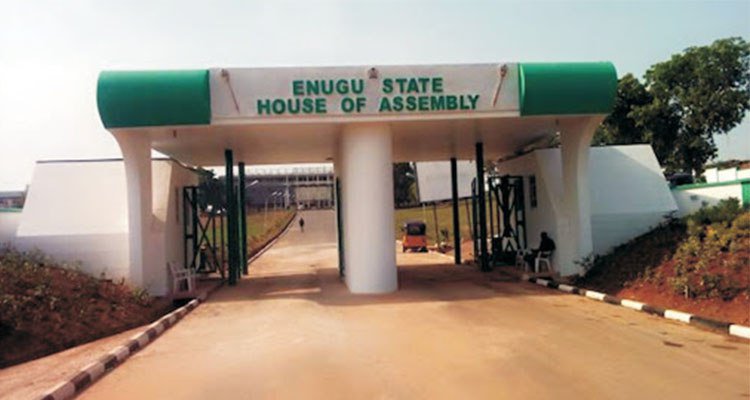 BREAKING: Enugu House of Assembly Passes Anti-Open Grazing Bill | Daily Report Nigeria