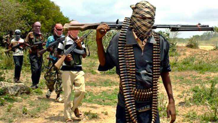 Bandits Kill 30, Kidnap 7 in Fresh Attack in Niger | Daily Report Nigeria