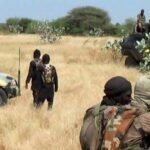 How Troops Foiled ISWAP Attack on Repentant Insurgents in Borno - Army | Daily Report Nigeria