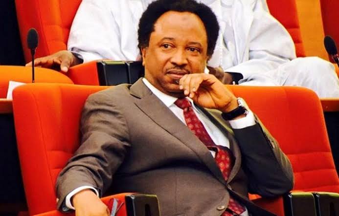 Power Rotation Needs To Be Clearly Stated in The Constitution - Shehu Sani | Daily Report Nigeria