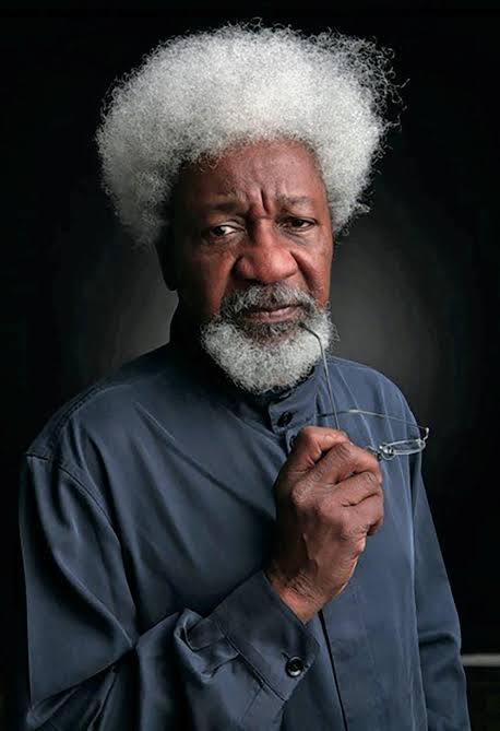 Nigeria is Disintegrating Before Our Very Eyes - Soyinka | Daily Report Nigeria