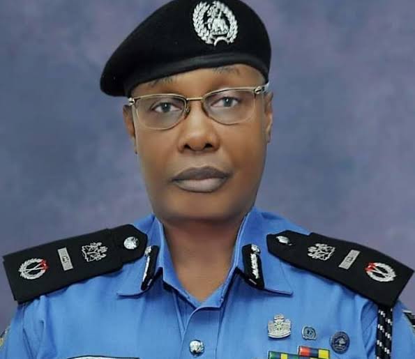 IGP Laments Delay in Criminal Prosecution, Says Over 20,000 Cases in Court | Daily Report Nigeria