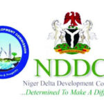 Selfish Interests Cause of Delay in Inaugurating NDDC Board - Ijaw Youths | Daily Report Nigeria