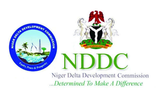 Selfish Interests Cause of Delay in Inaugurating NDDC Board - Ijaw Youths | Daily Report Nigeria