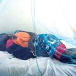 Senate Declines Health Ministry's Request to Borrow N82 billion for the Purchase of Mosquito Nets | Daily Report Nigeria
