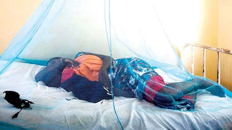 Senate Declines Health Ministry's Request to Borrow N82 billion for the Purchase of Mosquito Nets | Daily Report Nigeria