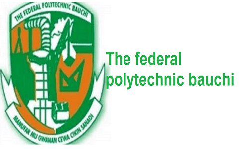 Federal Polytechnic Bauchi Sacks Two Lecturers Over Sexual Harassment | Daily Report Nigeria