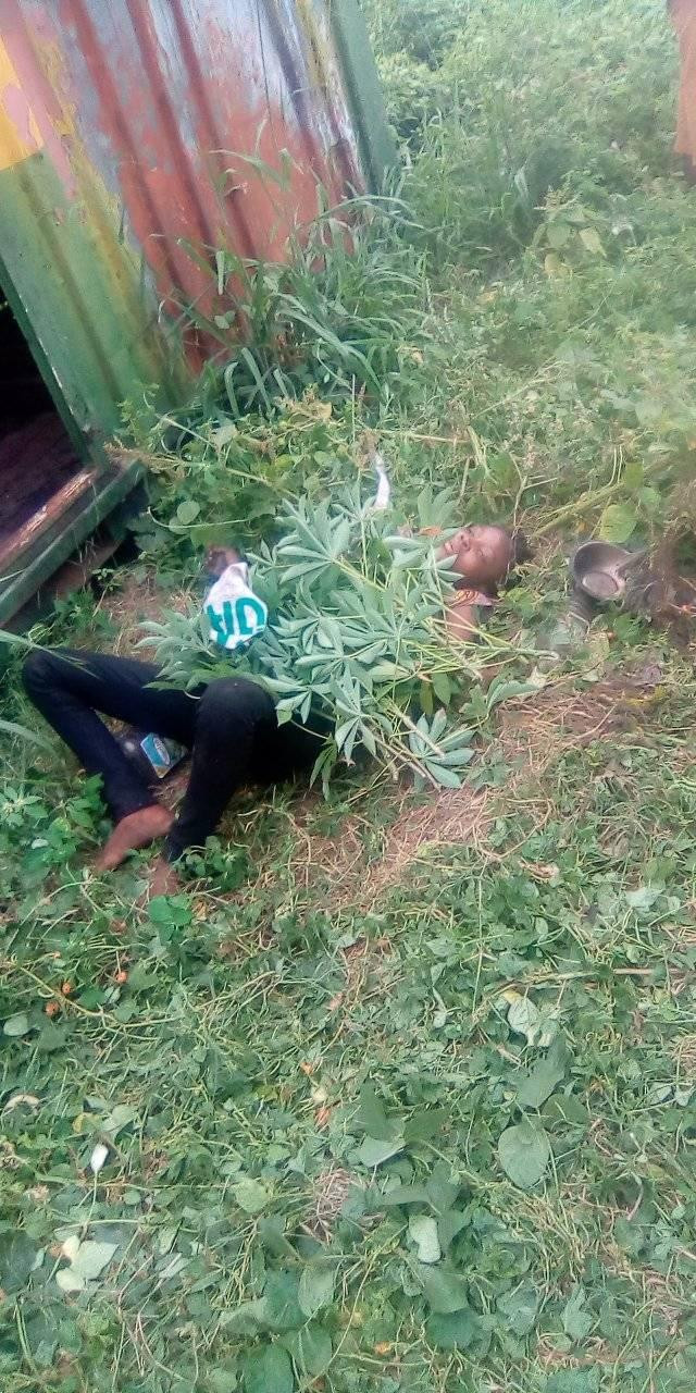 Another Dead Lady Found Dumped in Makurdi | Daily Report Nigeria