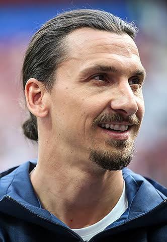 WCQ: Ibrahimovic Faces Ban Following Rough Tackle in Sweden's Loss to Spain | Daily Report Nigeria