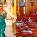 BBNaija Maria Issued Stern Warning, For Allegedly Attempting to snatch a Senator | Daily Report Nigeria