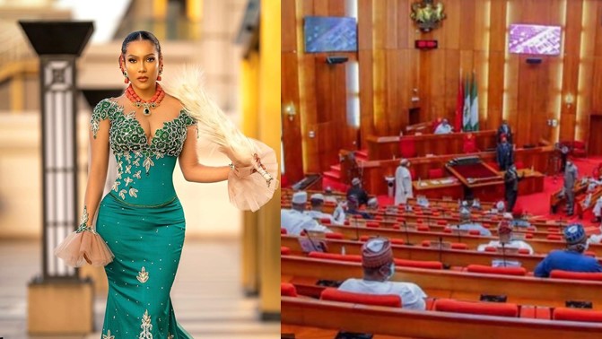 BBNaija Maria Issued Stern Warning, For Allegedly Attempting to snatch a Senator | Daily Report Nigeria