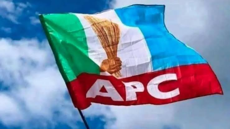 Coalition Asks Tinubu To Back Young Candidate As APC Chairman | Daily Report Nigeria