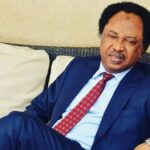 42 Persons Roasted Alive in Sokoto Yet No Outcry – Shehu Sani | Daily Report Nigeria