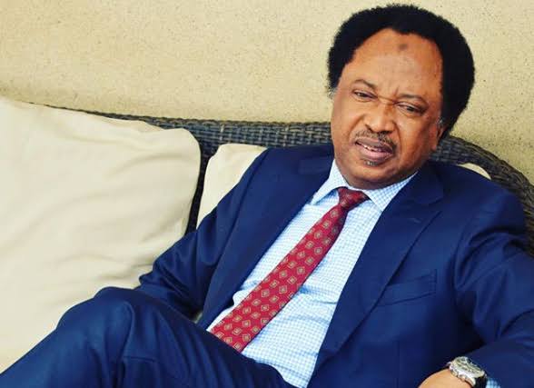 42 Persons Roasted Alive in Sokoto Yet No Outcry – Shehu Sani | Daily Report Nigeria