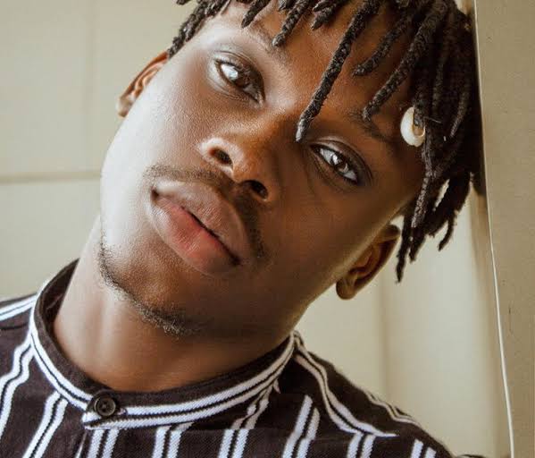 Fame Manipulative, Makes You Feel Like God – Fireboy | Daily Report Nigeria