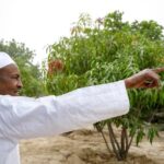 I Look Forward To Retiring To My Farm After My Tenure - Buhari | Daily Report Nigeria