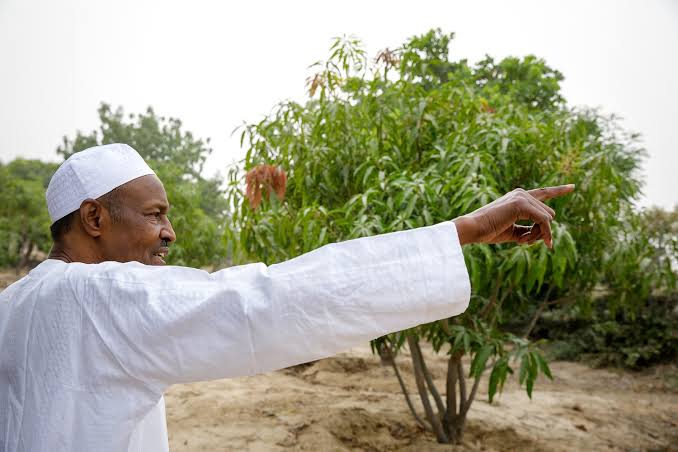 I Look Forward To Retiring To My Farm After My Tenure - Buhari | Daily Report Nigeria