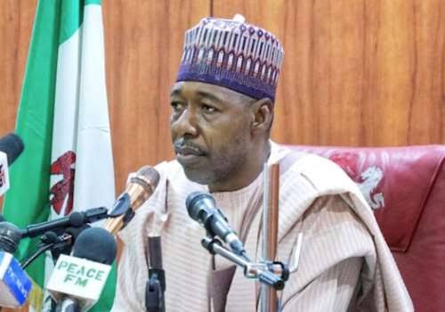 Stop Comparing Me With Other Governors - Zulum | Daily Report Nigeria