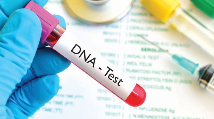 Why Women Are Afraid of DNA Test - Relationship Expert | Daily Report Nigeria