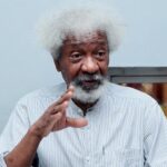 Wole Soyinka Criticizes Tinubu's Address | Daily Report Nigeria