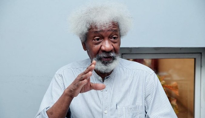 Wole Soyinka Criticizes Tinubu's Address | Daily Report Nigeria