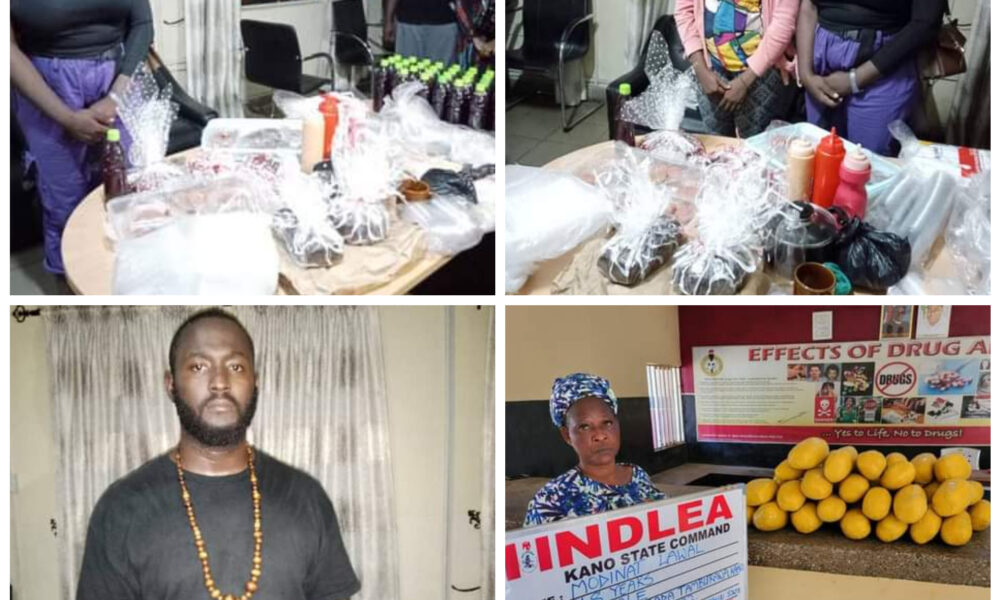 NDLEA Raids Abuja Garden, Arrest Four Women, Two Others For Selling Drug Noodles and Cookies | Daily Report Nigeria