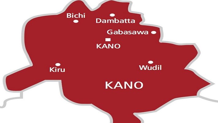 Men, Women Banned From Swimming in Same Pool in Kano | Daily Report Nigeria