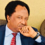 It Will Be A Legacy of Failure if Electoral Bill Isn’t Approved - Shehu Sani | Daily Report Nigeria