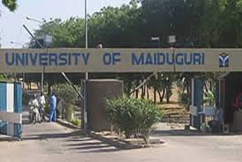 Insecurity: University of Maiduguri Safe For Learning – VC | Daily Report Nigeria