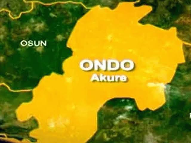 Suspected Herdsmen Gang Rape, Kill Housewife In Ondo Community | Daily Report Nigeria