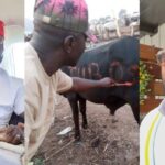 Billionaire Obi Cubana Gifts Tunde Ednut Six Cows, N5 Million For His Birthday | Daily Report Nigeria