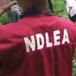 Movies Must Promote Messages Against Use of Illicit Drugs – NDLEA Tells Nollywood | Daily Report Nigeria