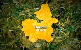 Nursing Mother, Baby Kidnapped by Gunmen In Bauchi | Daily Report Nigeria