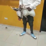 Man Caught with 3 Stolen Live Chickens Hidden in His Pants | Daily Report Nigeria