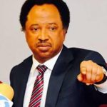 Terrorism: Shehu Sani Exposes Topmost Terror Leaders in Nigeria | Daily Report Nigeria