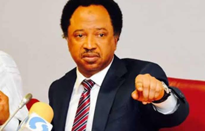 Terrorism: Shehu Sani Exposes Topmost Terror Leaders in Nigeria | Daily Report Nigeria