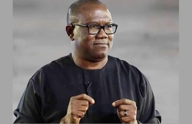 My Desperation is To See Nigeria Better - Peter Obi | Daily Report Nigeria