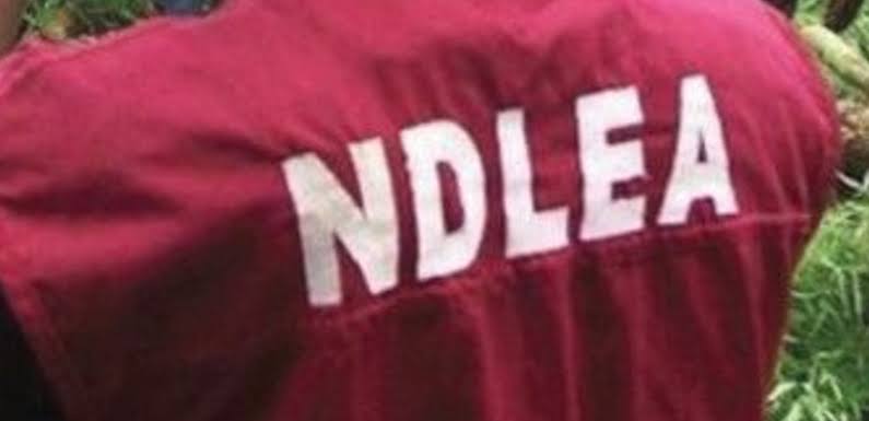 NDLEA Raids Abuja Cannabis Party, Arrests 200 Suspects | Daily Report Nigeria