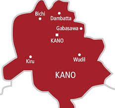 Lawmakers Suspend Council Chairman in Kano | Daily Report Nigeria