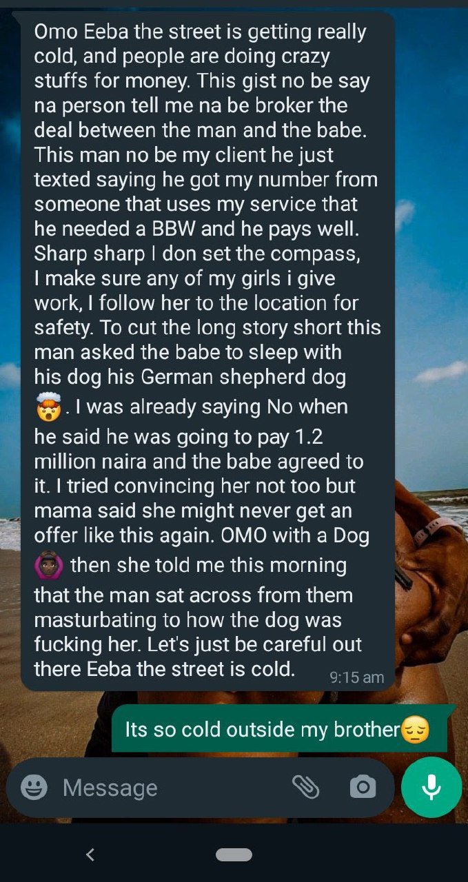 Videos of Lagos Girls Having Sex With Dogs For N1.5m Break Internet - Daily  Report Nigeria