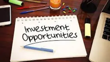 5 Best Investment Opportunities in 2023 | Daily Report Nigeria