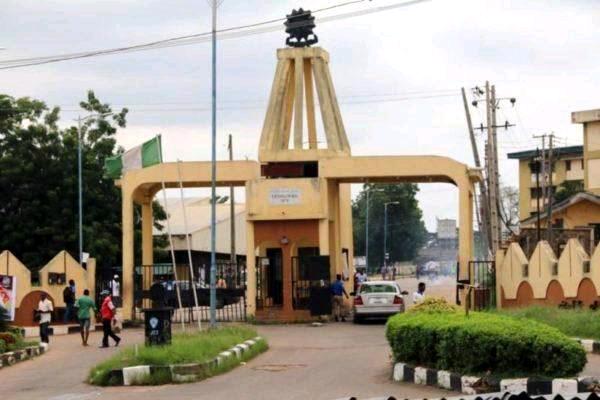 Poly Ibadan: Cause Of Male Student's Death Revealed | Daily Report Nigeria