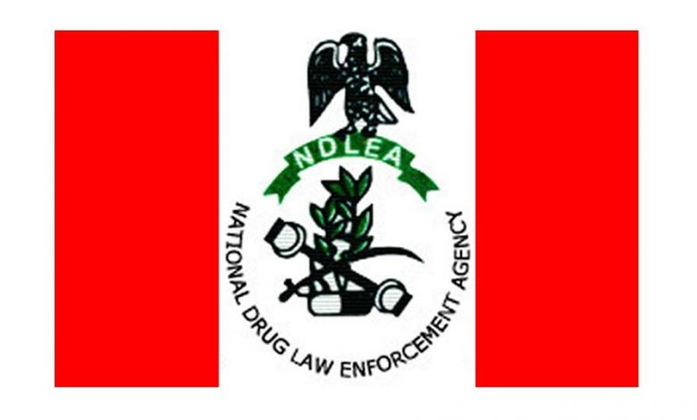 NDLEA Arrest Notorious Drug Baron, ‘O Lord Have Mercy’ | Daily Report Nigeria