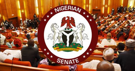 2023 Elections: Senate Amends 2022 Electoral Act | Daily Report Nigeria