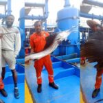 Nigerian Men Catch World Fastest Fish Worth Over 600k, Eats It With Pepper Soup | Daily Report Nigeria