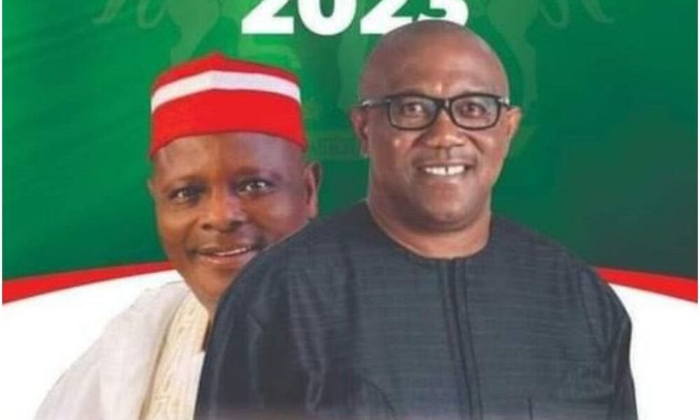 Peter Obi as President, Kwankwaso as Running Mate Campaign Poster Surfaces | Daily Report Nigeria