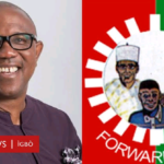 2023 Presidency: Why Peter Obi Is Not Best Candidate | Daily Report Nigeria