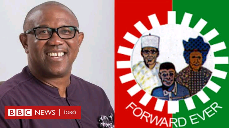 2023 Presidency: Why Peter Obi Is Not Best Candidate | Daily Report Nigeria