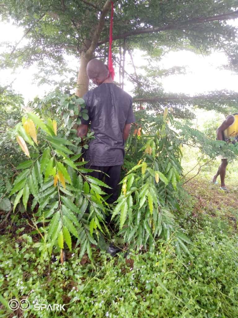 Lifeless Body Of Man Found Hanging On Tree In Delta Community | Daily Report Nigeria